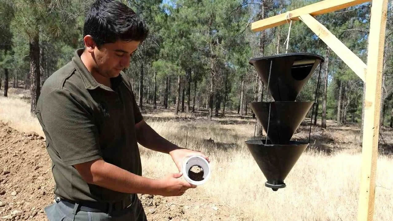 Kahramanmaras Tum Gucuyle Karsi Saldiriya Geciyor Tuzaklar Ormanlara Yerlestirildi Kanalmaras